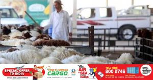 Festival of Sacrifice : Animal sacrifices should be approached through approved and hygienic slaughterhouses - Abu Dhabi Municipality.