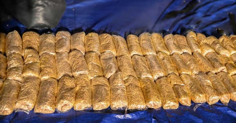 Anti-drug fight- More than 29.7 tons of drugs seized in UAE in 2023, 11,988 people arrested