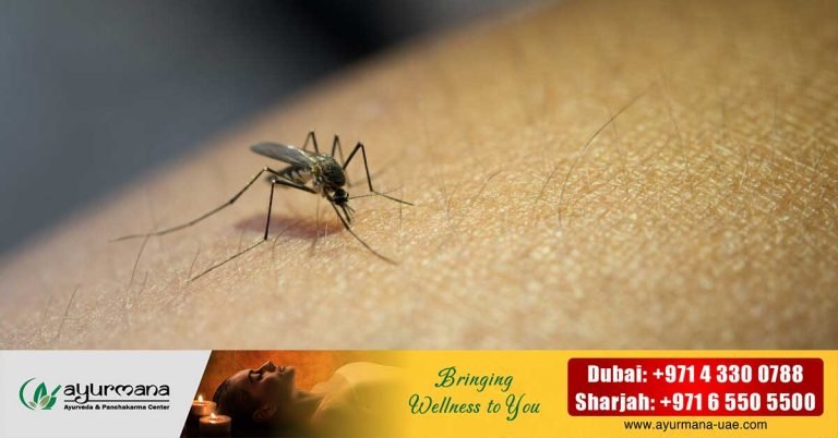 Health center shared awareness videos in Malayalam in the context of dengue fever