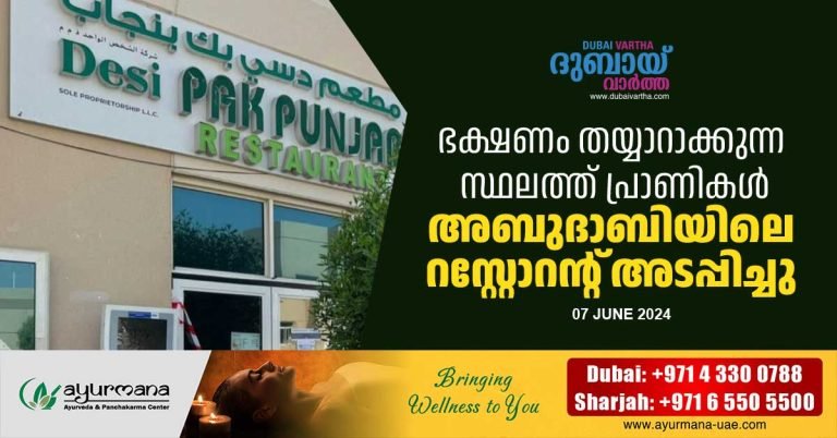Insects in food preparation area- Abu Dhabi restaurant closed