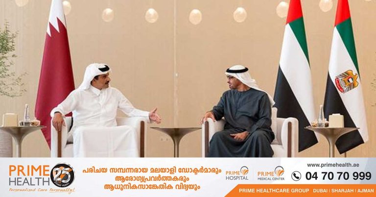 The UAE President met with the Emir of Qatar