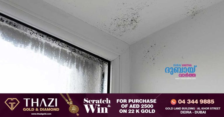 Humidity increases in Avani: Residents report mold on walls and difficulty opening doors