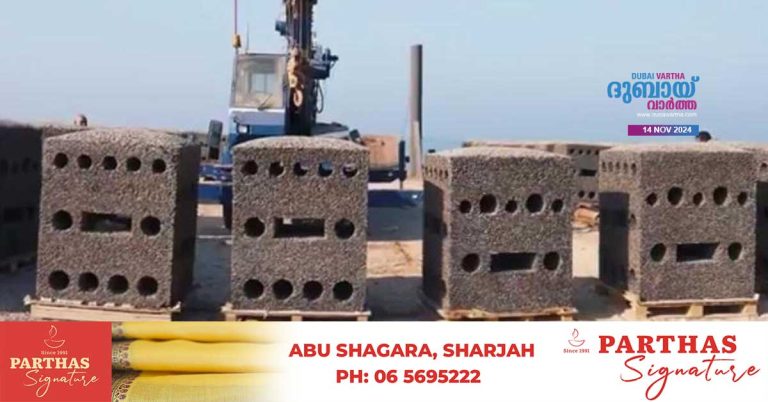 Artificial reefs have been installed along the coast of Umm al-Khuwain for sustainable fishing