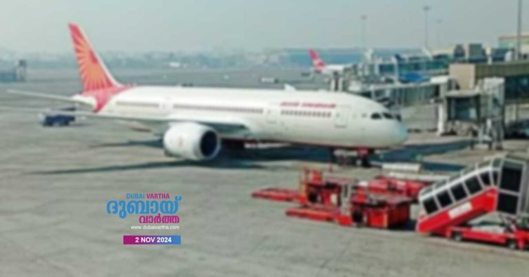 Bullets found on Dubai-Delhi Air India flight during cleaning