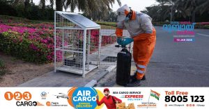 90 smart traps in different areas of Sharjah to prevent mosquito