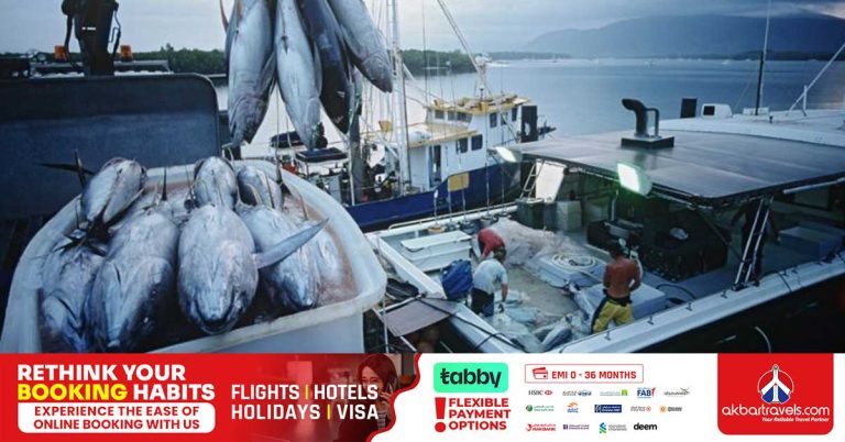 Abu Dhabi fisherman fined Dh50,000 for overfishing