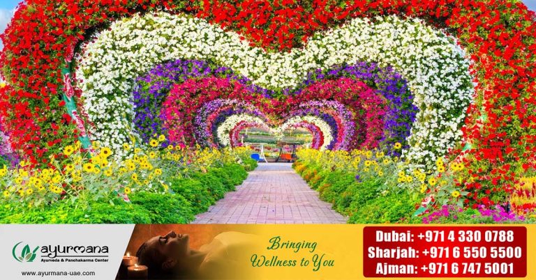 Dubai Miracle Garden's season ends on the 13th of the month