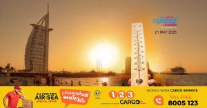 Fog warning today- Temperatures will rise- Yesterday's high was 48 DEGREE