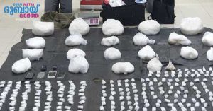 Home Ministry figures show over 12 tons of drugs seized in 2024