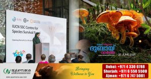 World's first fungal conservation center opens at Dubai Expo City