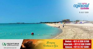 Sea worms found on Al Bateen Beach in Abu Dhabi confirmed to be harmless