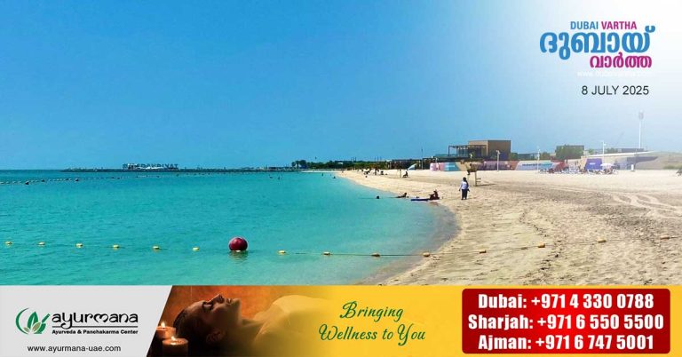 Sea worms found on Al Bateen Beach in Abu Dhabi confirmed to be harmless