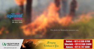 Trees catch fire in Al Sadd area of Al Ain- Fire under control