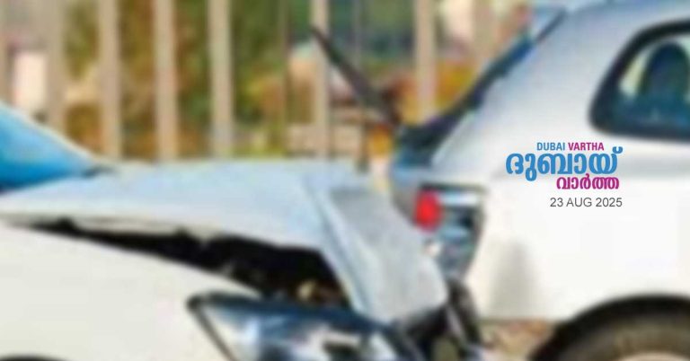 A man who crashed into a car in Dubai, causing damage and fleeing the scene has been fined Dh5,000.