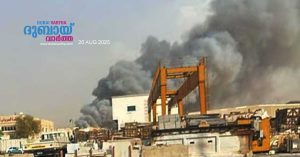 Fire breaks out in Sharjah industrial area.