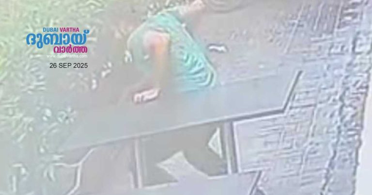 CCTV footage of young man cruelly treating kittens emerges after kittens were found dead in Sharjah