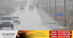 Early morning fog on roads in Abu Dhabi: Wind and rain possible in some areas