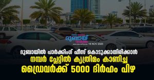 Driver admits smudging one digit to dodge automated parking, thinking system wont spot it