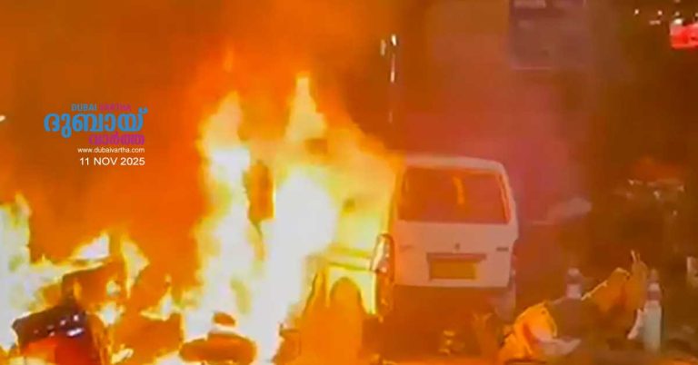 More details emerge about those behind the blast near the Red Fort in Delhi