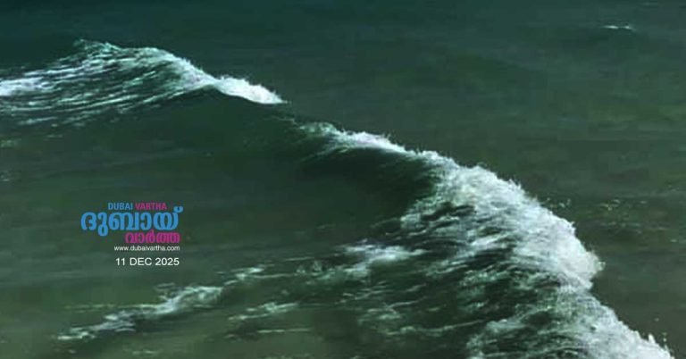 Malayali youth found dead on Dubai beach