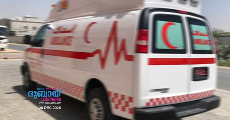 Road accident in Oman_ 4 people, including a Malayali and 3 Omanis, tragically died_ 3 people seriously injured