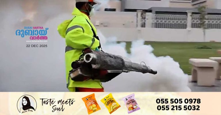 Sharjah launches pest control campaign after unstable weather