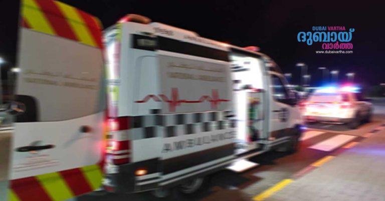 Three workers die in Umm al-Quwain road accident_ several injured
