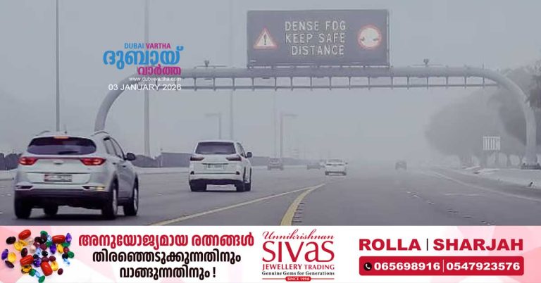 Heavy fog in most parts: Speed ​​limits reduced on Abu Dhabi roads.