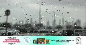 Light rain is likely until Friday_ fog is possible at night, weather forecast says