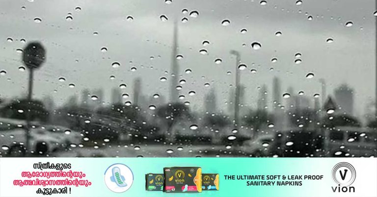 Light rain is likely until Friday_ fog is possible at night, weather forecast says