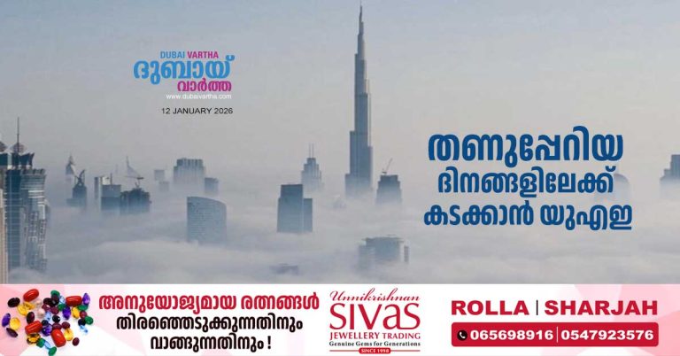 To usher in the colder days_ The coldest days are forecast to begin from January 15th