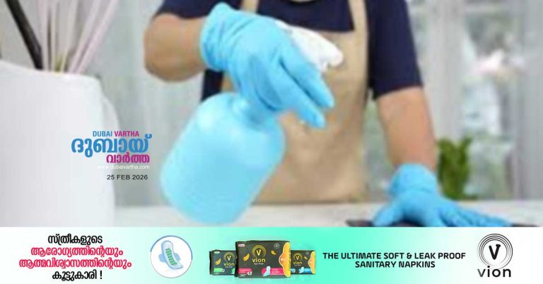 12 unlicensed online domestic worker recruitment agencies shut down.