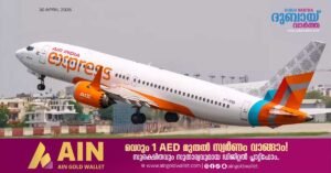Air India Express restores more services to uae