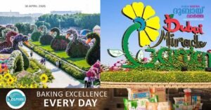 Dubai Miracle Garden season ends on May 31_ Free entry for families, discount offers for residents!