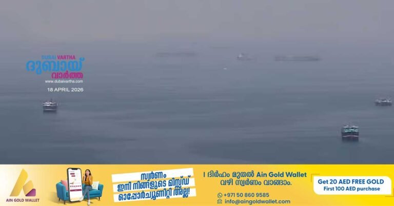 Two ships flying the Indian flag in the Strait of Hormuz were shot down by Iran.