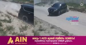 Reckless driver arrested after dangerous stunts in Sharjah