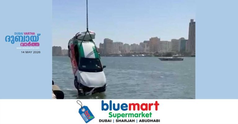 Car falls into Sharjah Creek, driver rescued within eight minutes