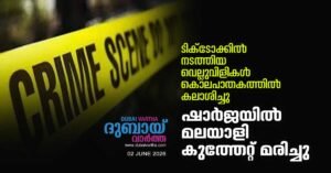 Challenges on TikTok resulted in a fatal accident_ Malayali stabbed to death in Sharjah