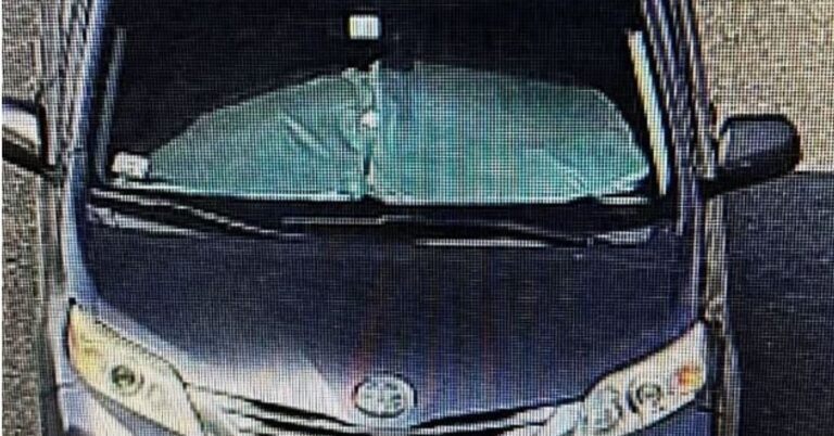 A driver in Sharjah drove a vehicle with a sunshade that obstructed visibility.