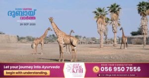 Sharjah Safari reopens on September 21; fifth season begins.