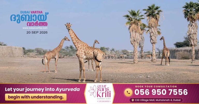 Sharjah Safari reopens on September 21; fifth season begins.