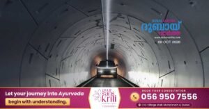 Abu Dhabi partners with Elon Musks firm to explore underground transport